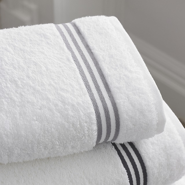 Toalheiro de papel é mais higiênico que a toalha de algodão?